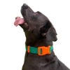 Bearhug- Collar Verde Esmeralda / Naranja - Imagen 2