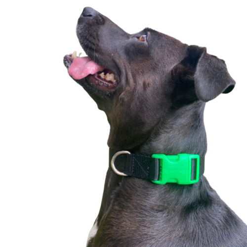 Bearhug- Collar Negro / Verde Neón - Imagen 2