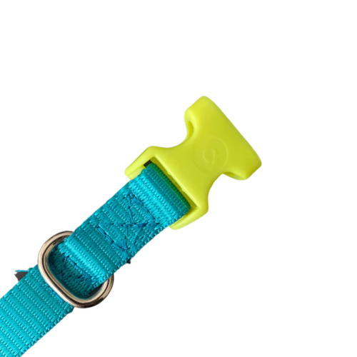 Bearhug- Collar Azul Turquesa / Amarillo Neón - Imagen 3