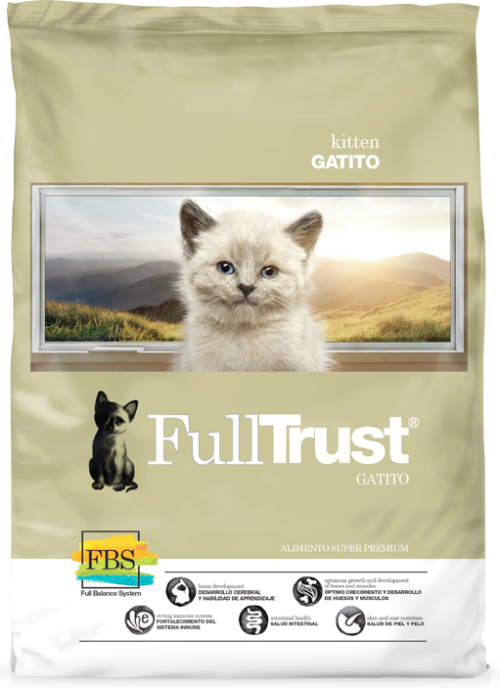 Full Trust- Kitten