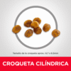 Hill’s Science Diet Adulto 7+ para Gato – Pollo - Imagen 5