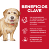 Hill’s Science Diet Small & Mini Senior Vitality 7+ para Perro – Pollo y Arroz, Razas Miniaturas y Pequeñas - Imagen 5