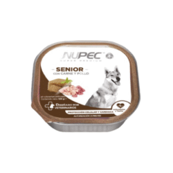 NUPEC- Senior