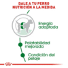 Royal Canin Adulto para Perro – Razas pequeñas - Imagen 3