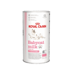 Royal Canin Babycat Milk – Leche en Polvo para Gatitos Recién Nacidos
