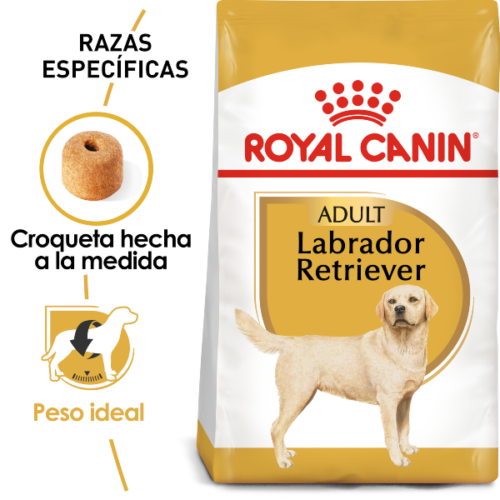 Royal Canin Labrador Retriever Adulto