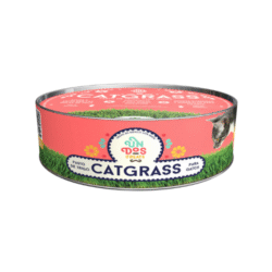 Un Dos Treats Catgrass de Trigo para Gato – Pasto Natural para Digestión y Bienestar