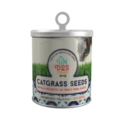 Un Dos Treats Catgrass Seeds de Trigo para Gato – Semillas Naturales para Cultivar Pasto Digestivo
