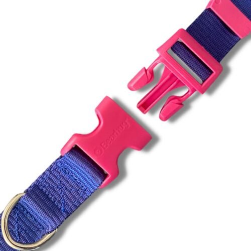 Bearhug- Collar Morado Eléctrico / Rosa Fucsia - Imagen 4