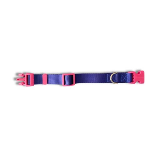 Bearhug- Collar Morado Eléctrico / Rosa Fucsia