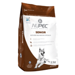 NUPEC- Senior